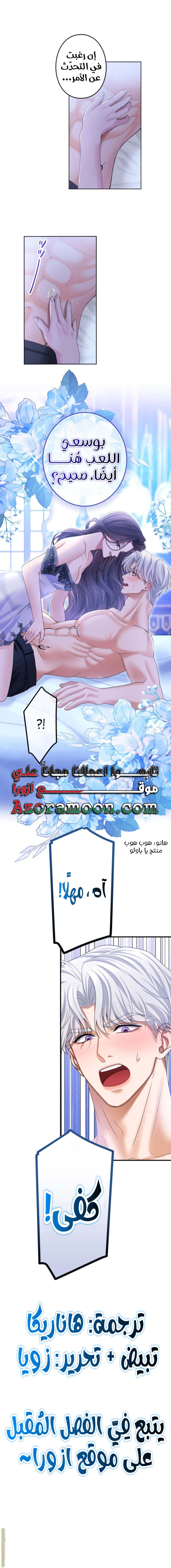 الصفحة 17