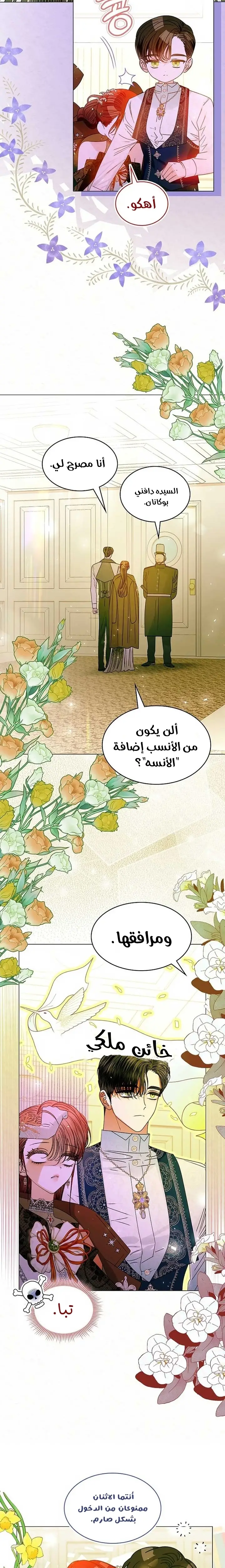 الصفحة 14