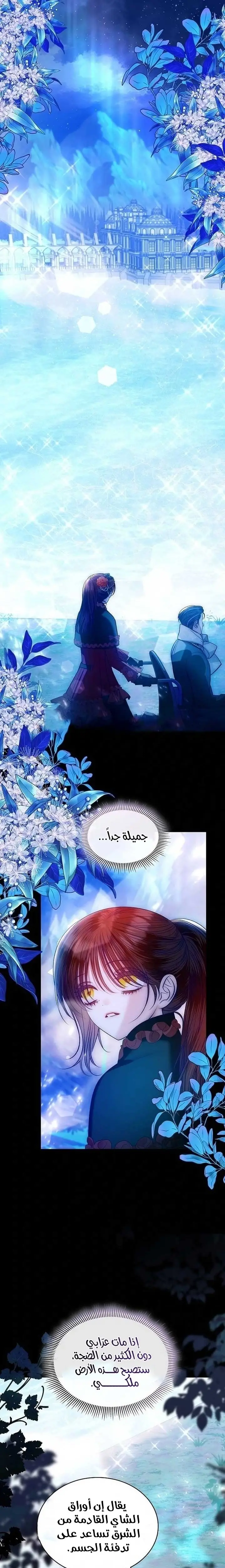 الصفحة 12