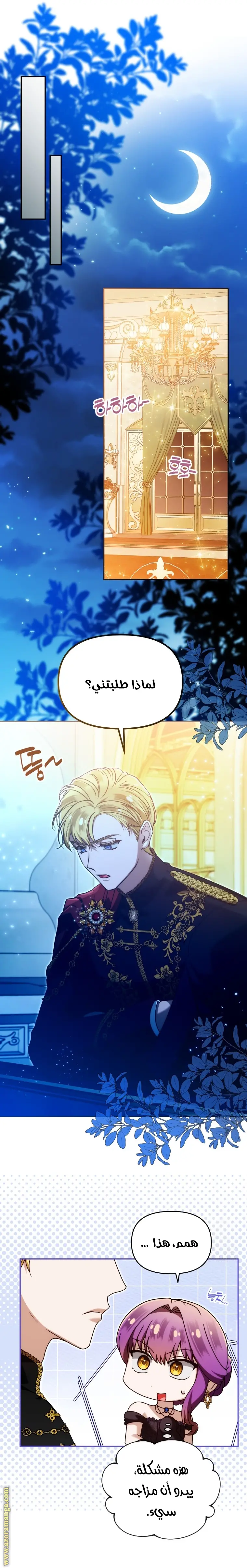 الصفحة 17