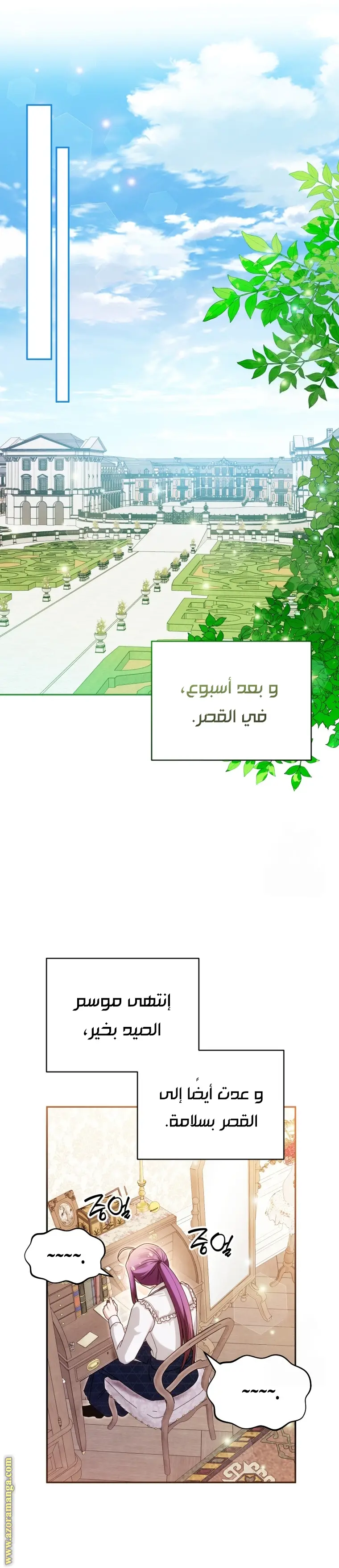 الصفحة 17