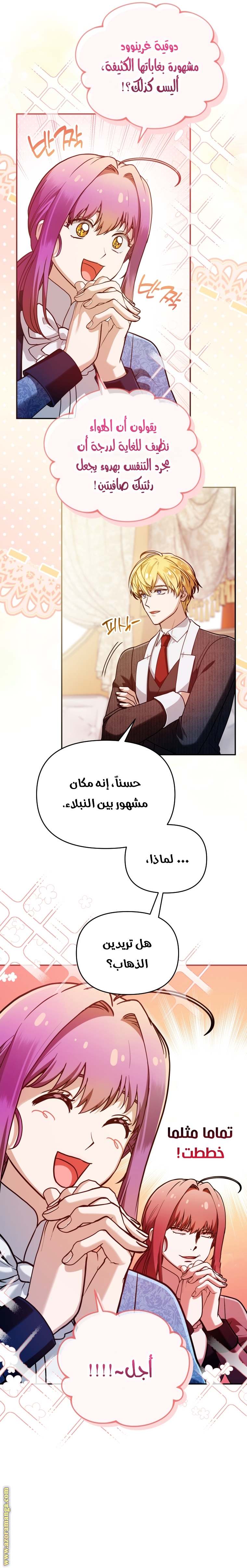 الصفحة 19