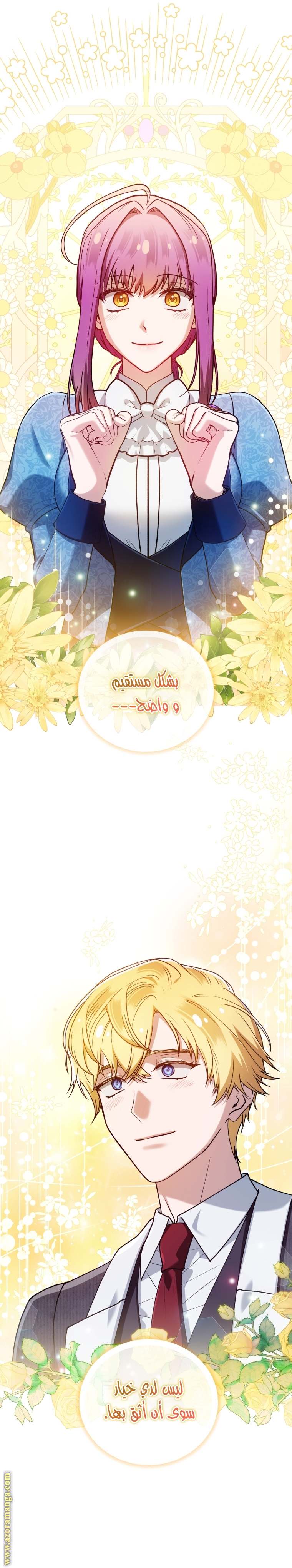 الصفحة 26