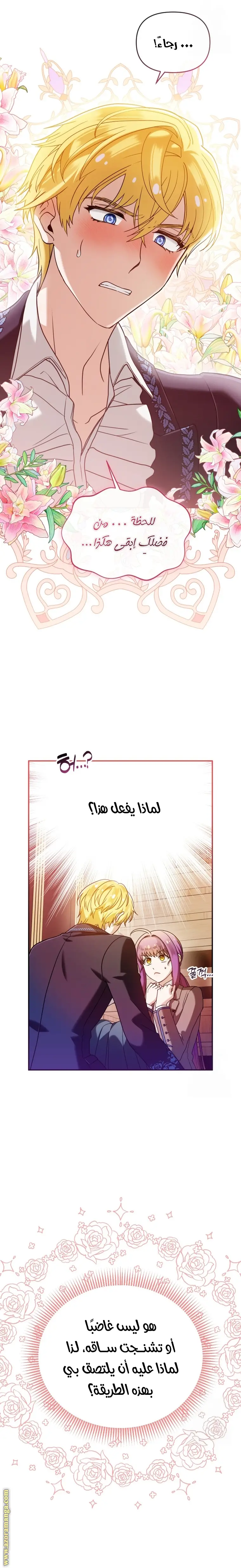 الصفحة 25