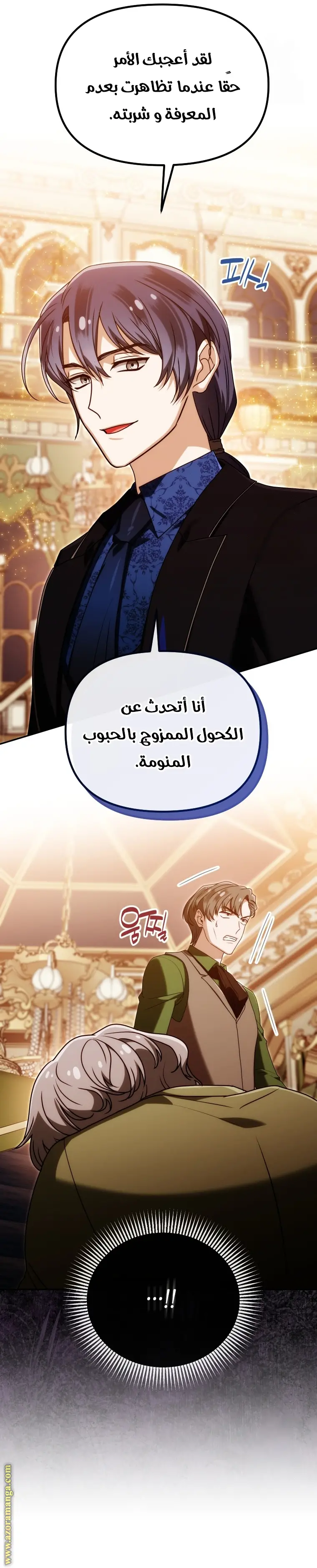 الصفحة 27