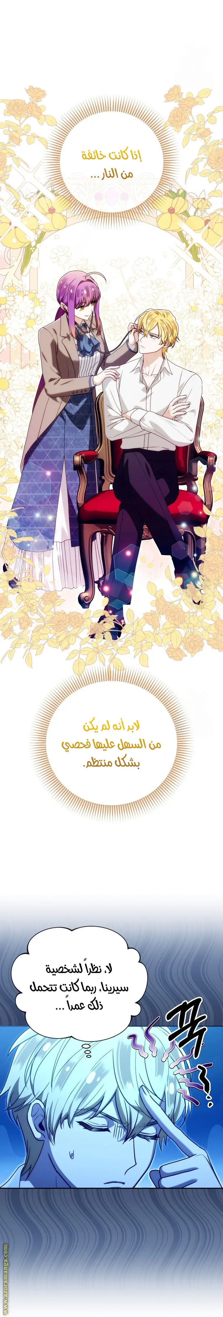 الصفحة 13