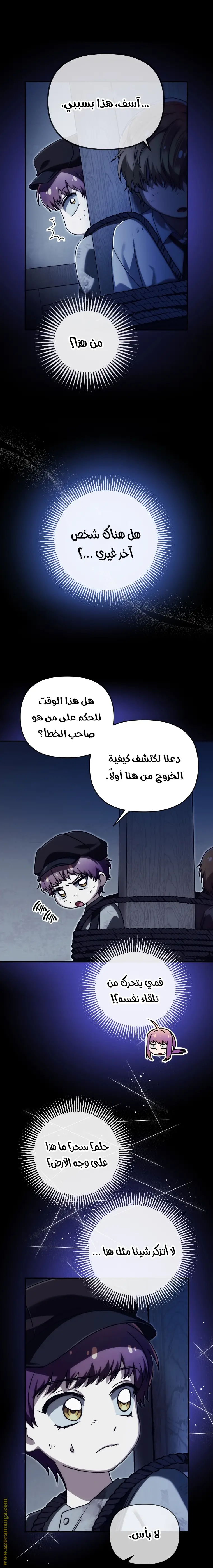 الصفحة 17