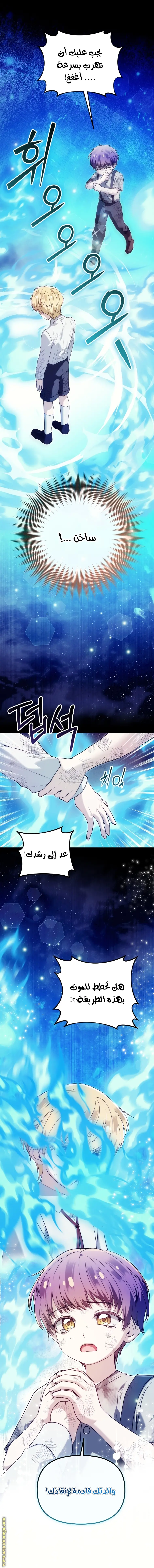 الصفحة 25