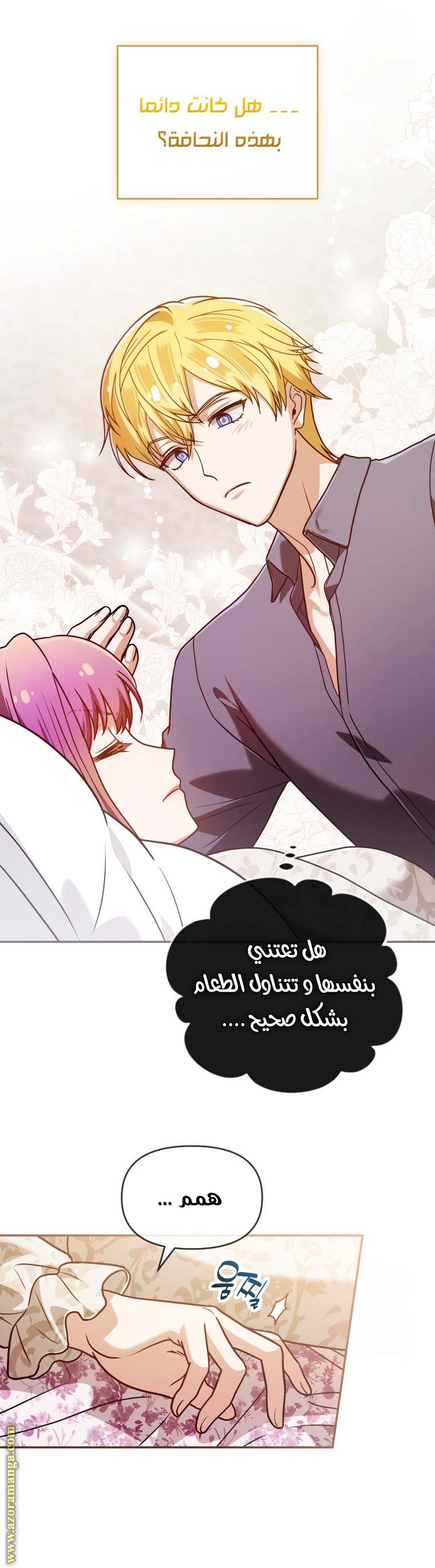 الصفحة 11