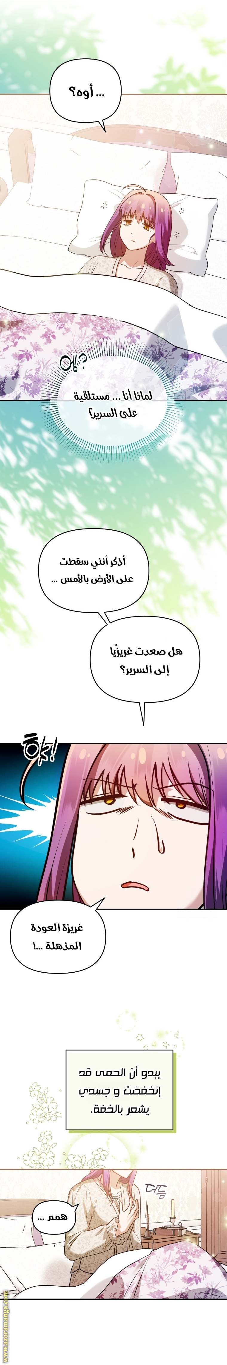 الصفحة 20