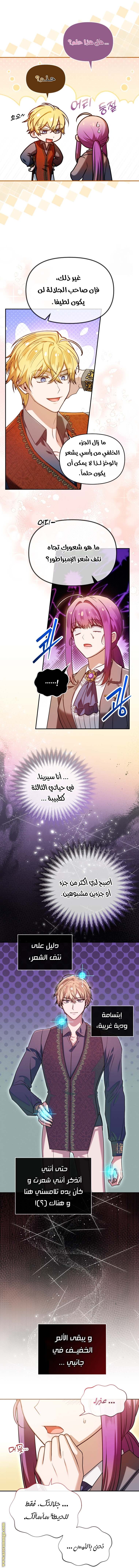 الصفحة 27