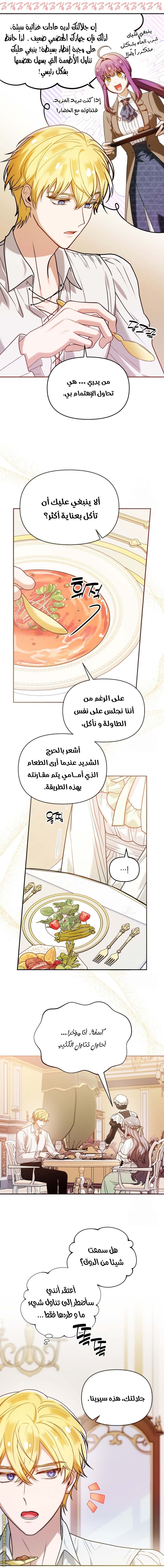 الصفحة 14