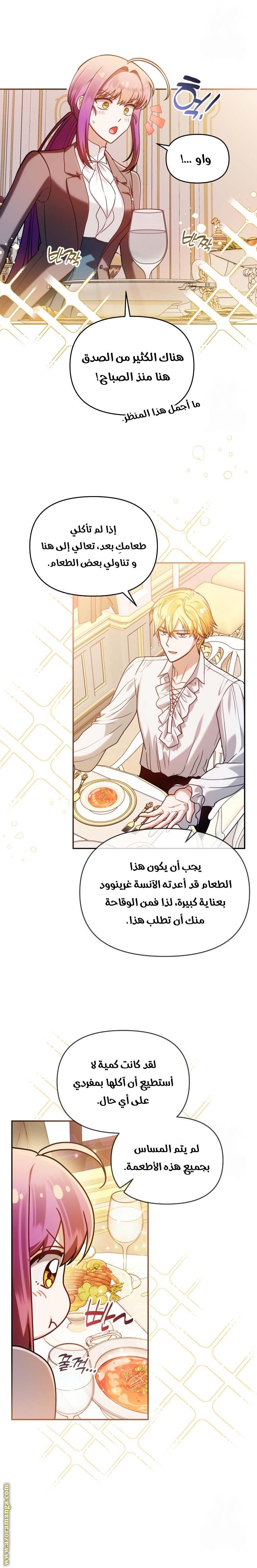 الصفحة 20