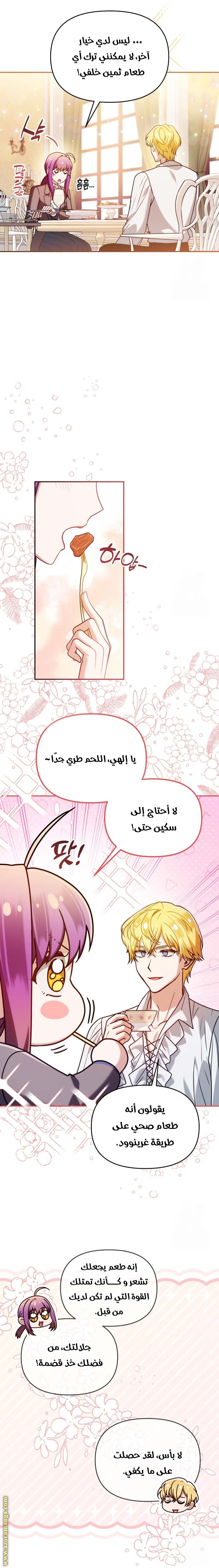الصفحة 21