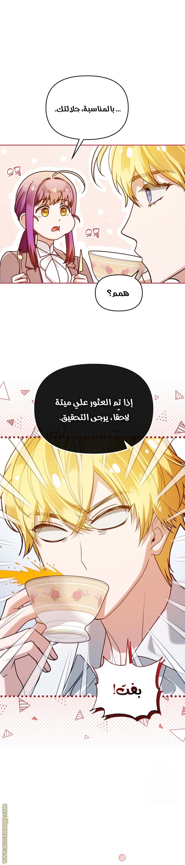 الصفحة 22