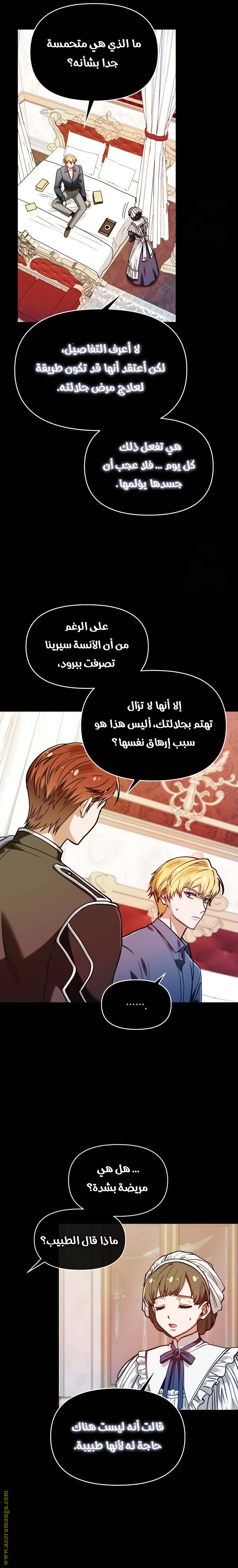 الصفحة 13