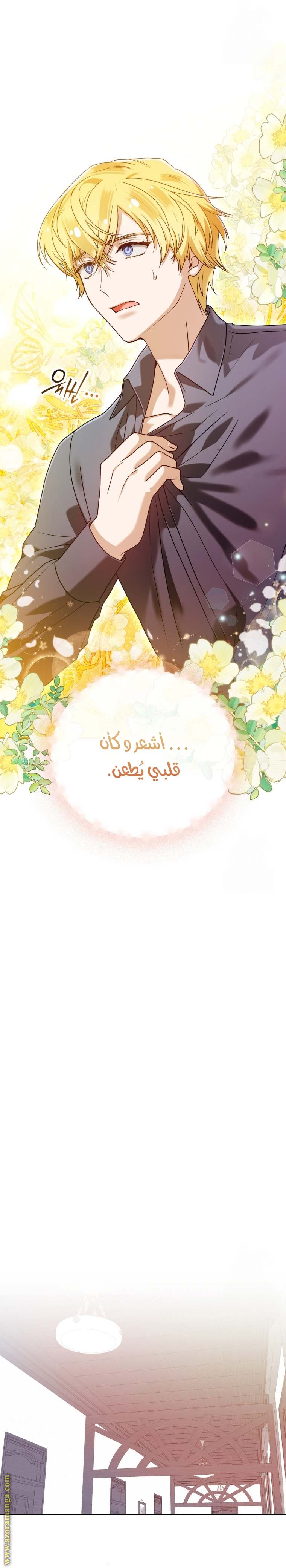الصفحة 17