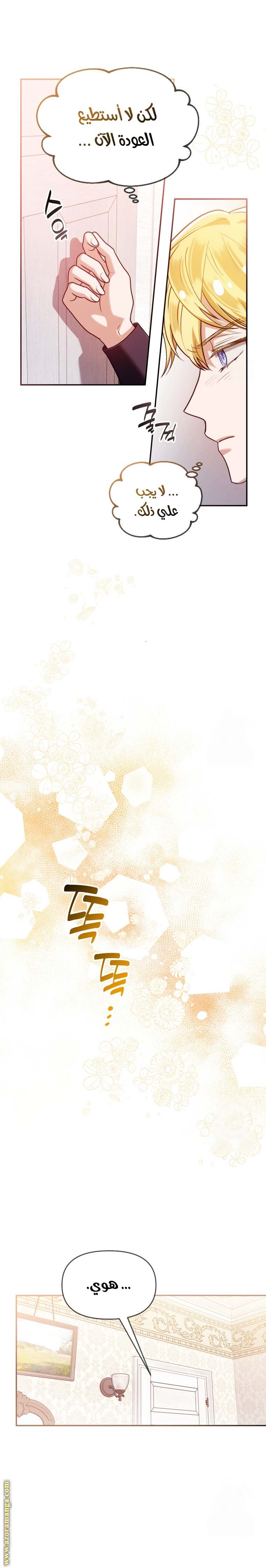 الصفحة 19