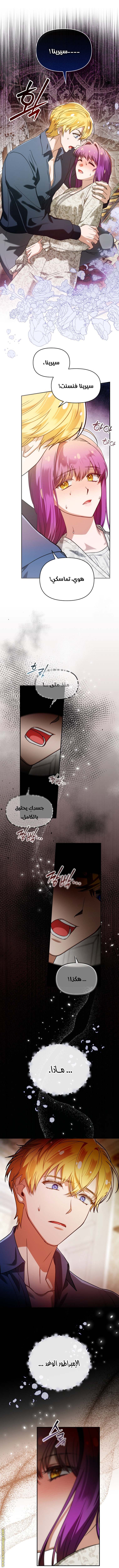 الصفحة 22