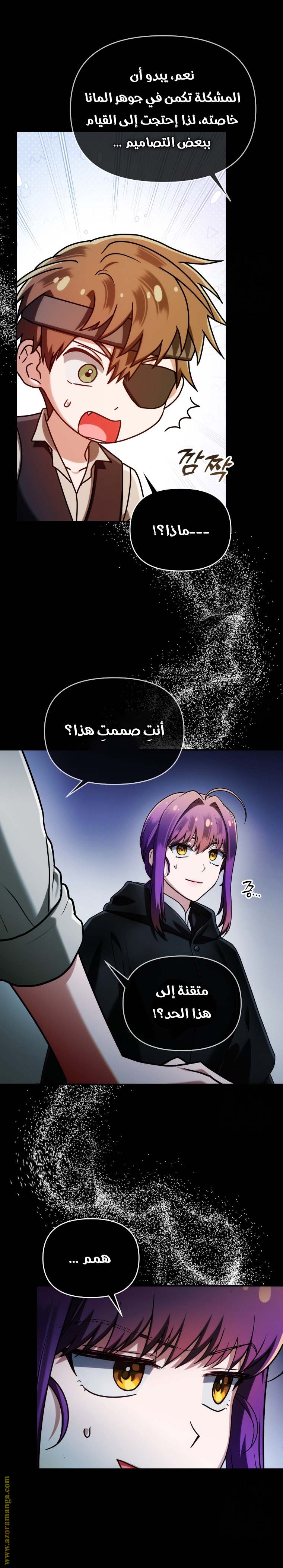 الصفحة 13