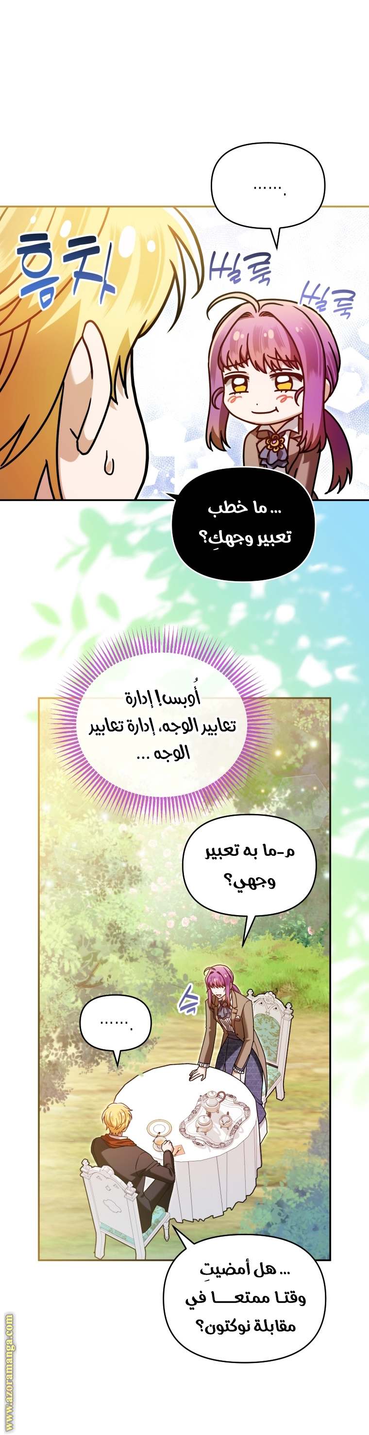 الصفحة 13