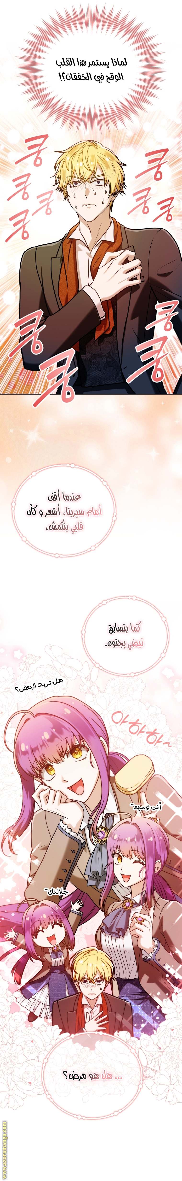 الصفحة 25