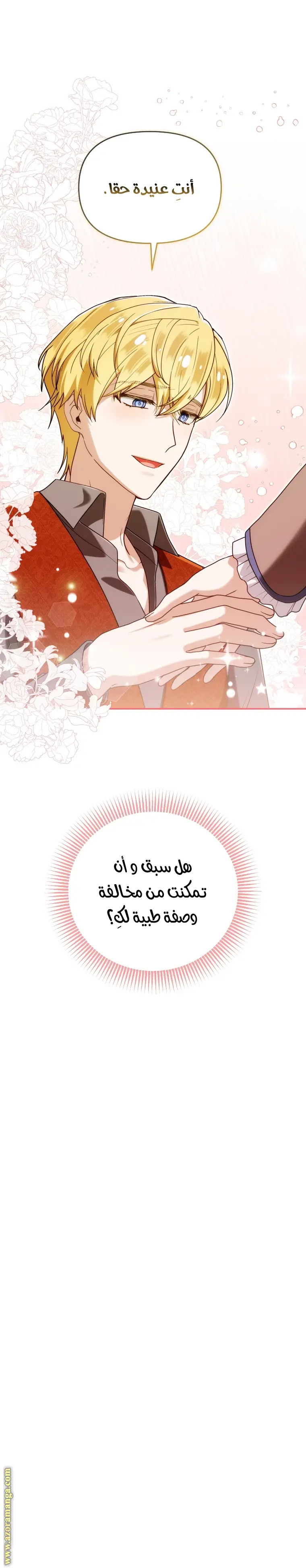 الصفحة 26