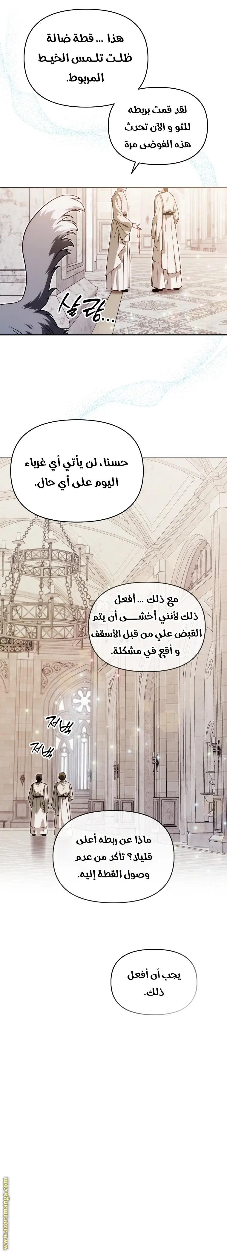 الصفحة 17