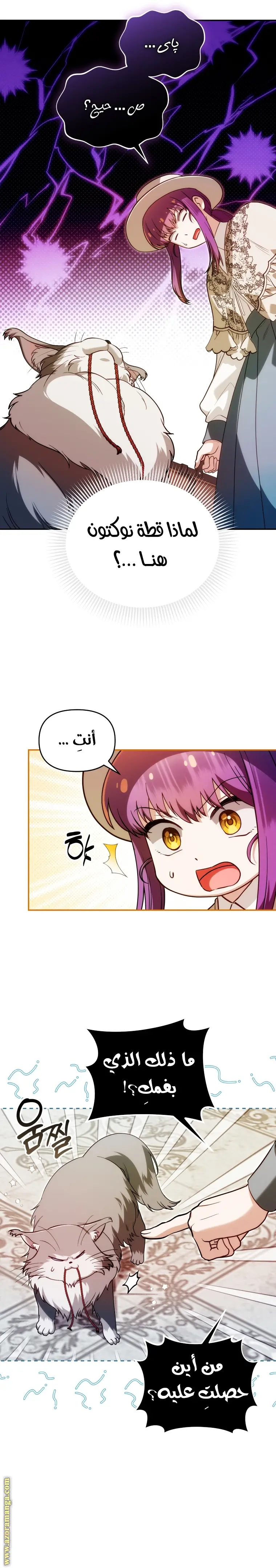 الصفحة 19