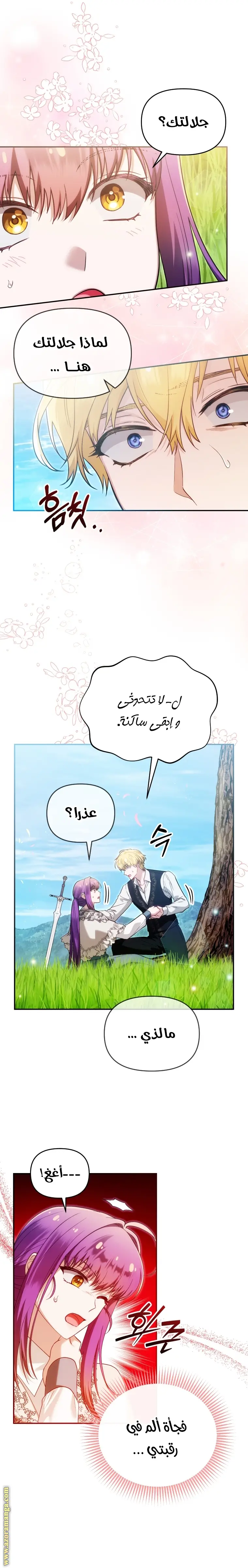 الصفحة 25