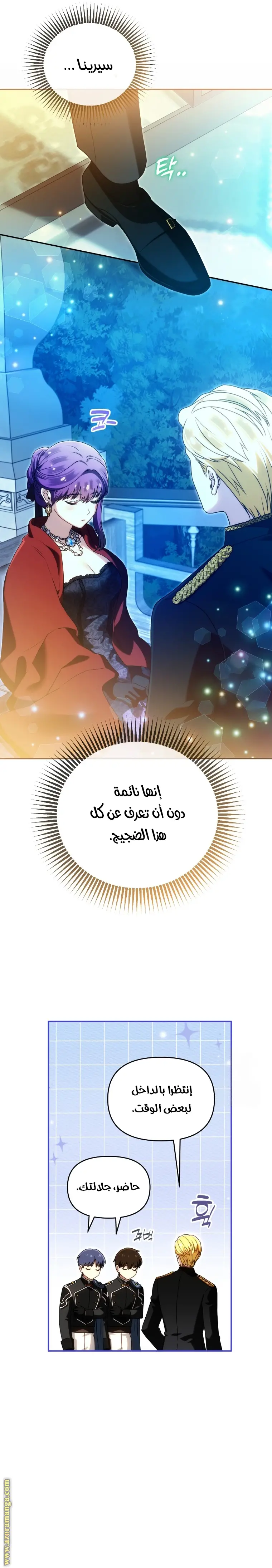 الصفحة 12