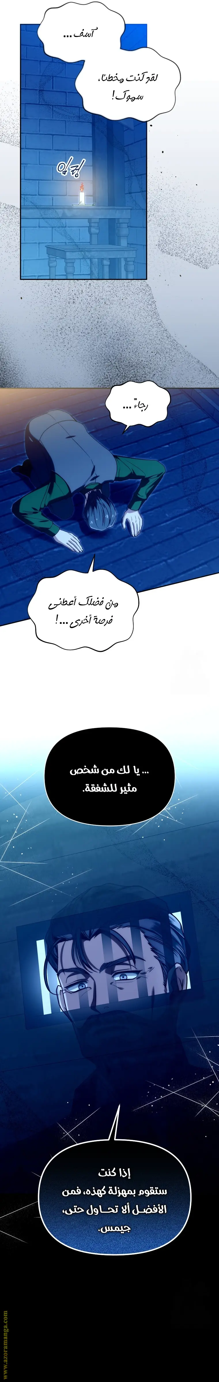 الصفحة 21