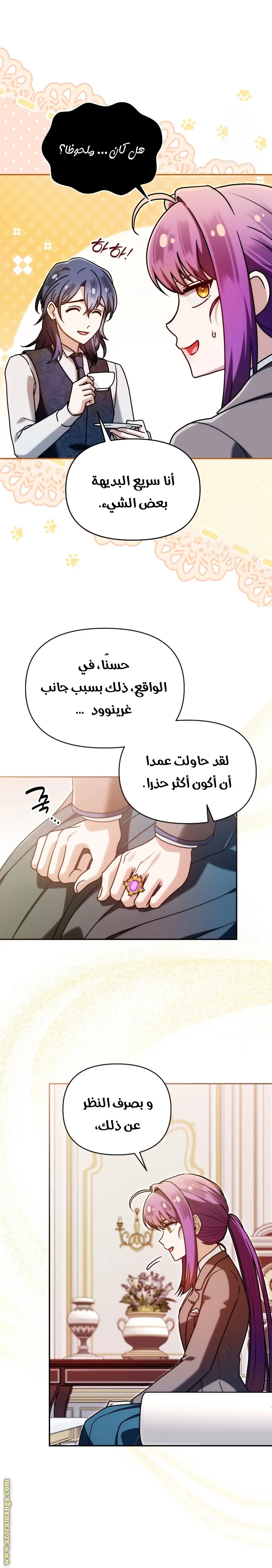 الصفحة 13