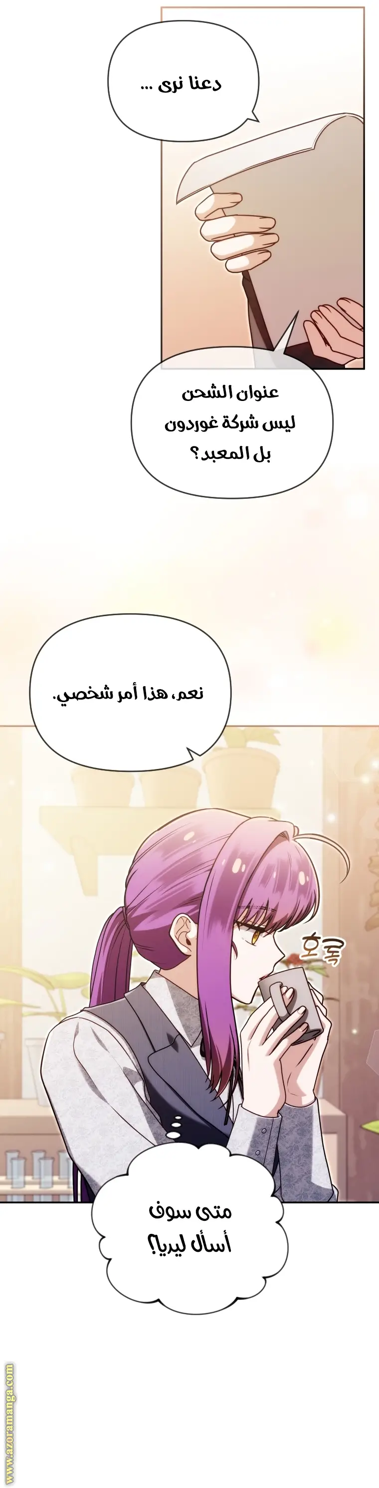 الصفحة 11