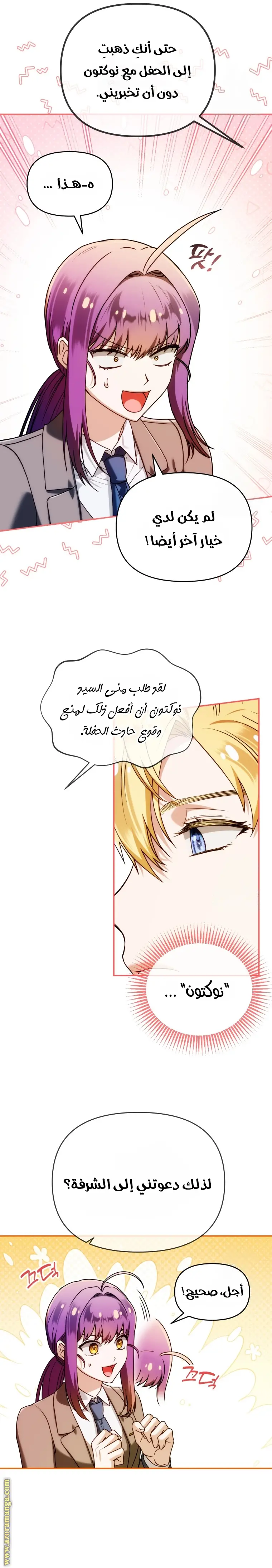 الصفحة 25