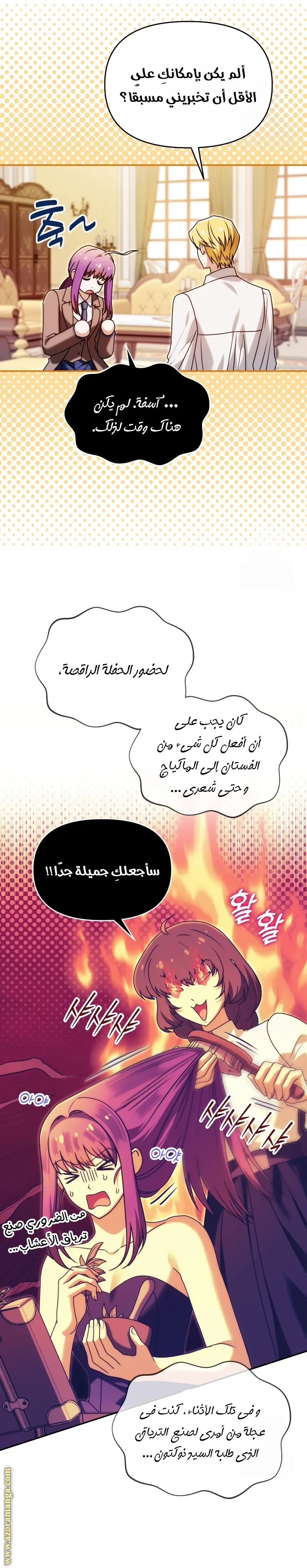 الصفحة 26
