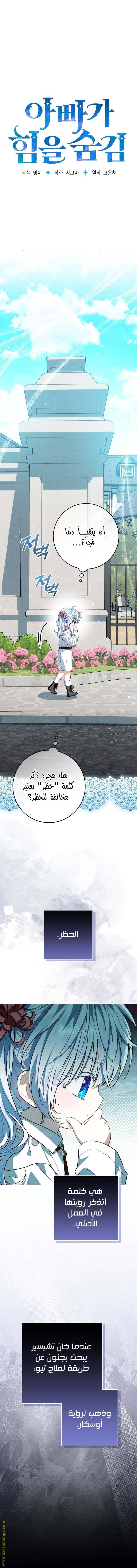 الصفحة 14