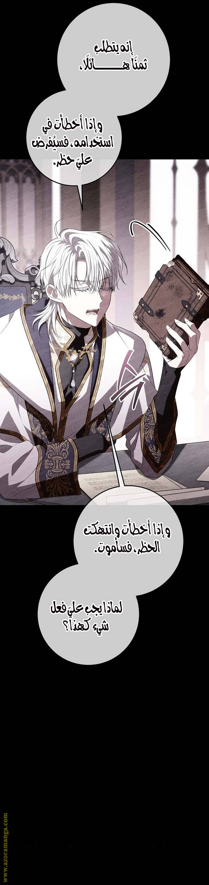 الصفحة 20