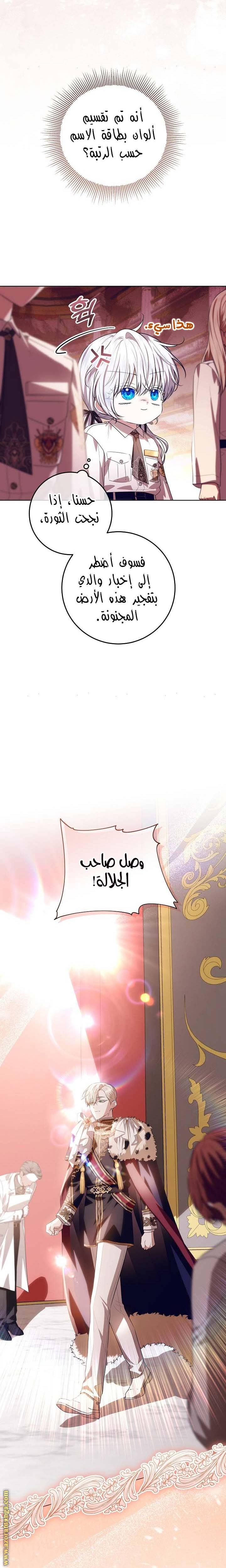 الصفحة 25