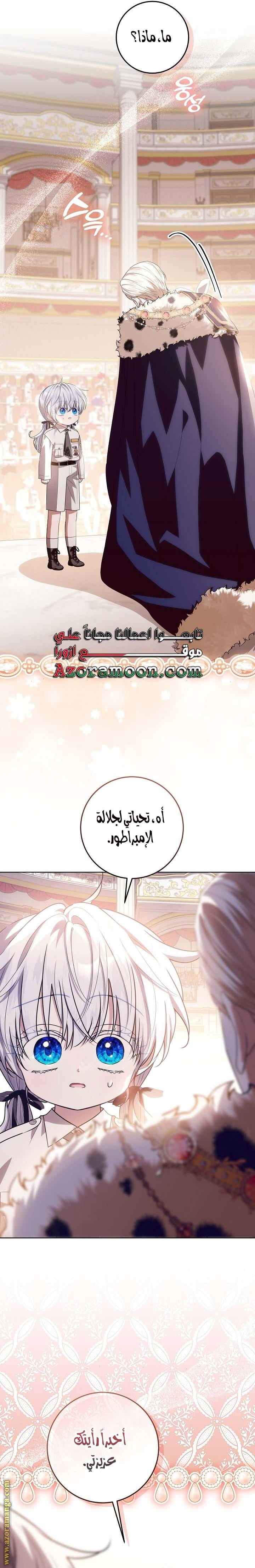 الصفحة 27