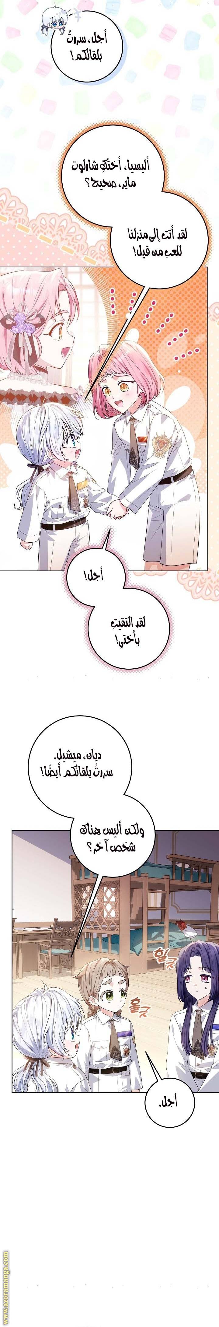 الصفحة 13