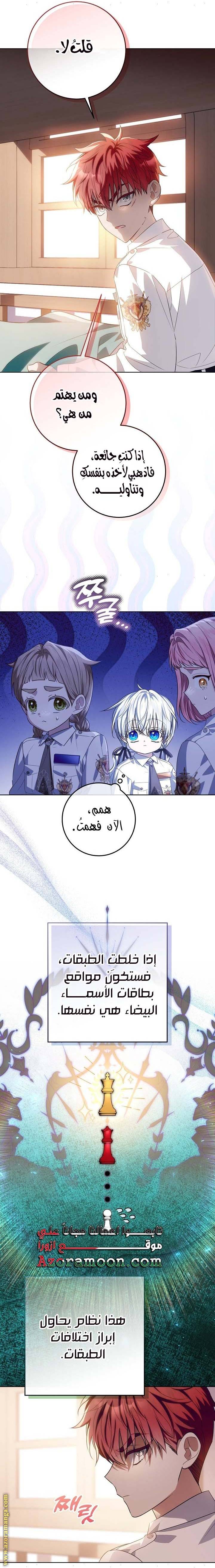الصفحة 17