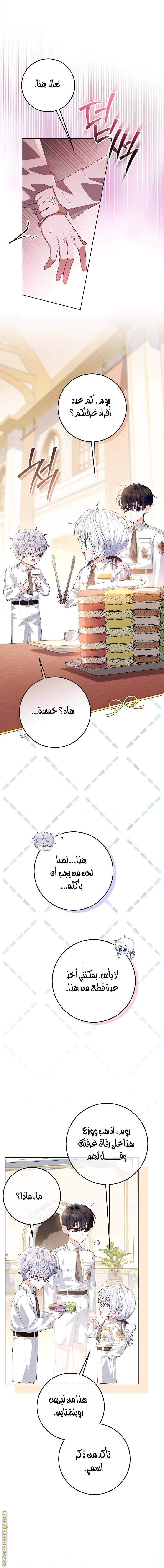 الصفحة 8