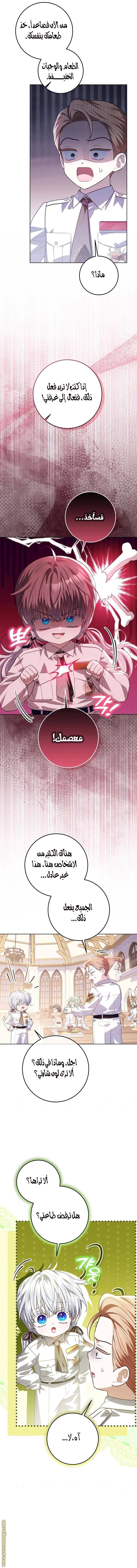 الصفحة 15