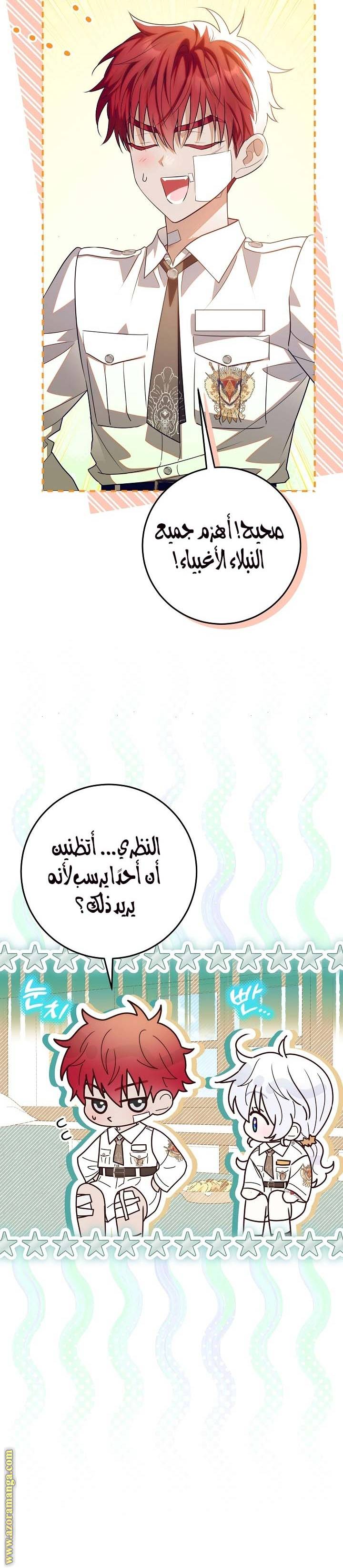 الصفحة 24