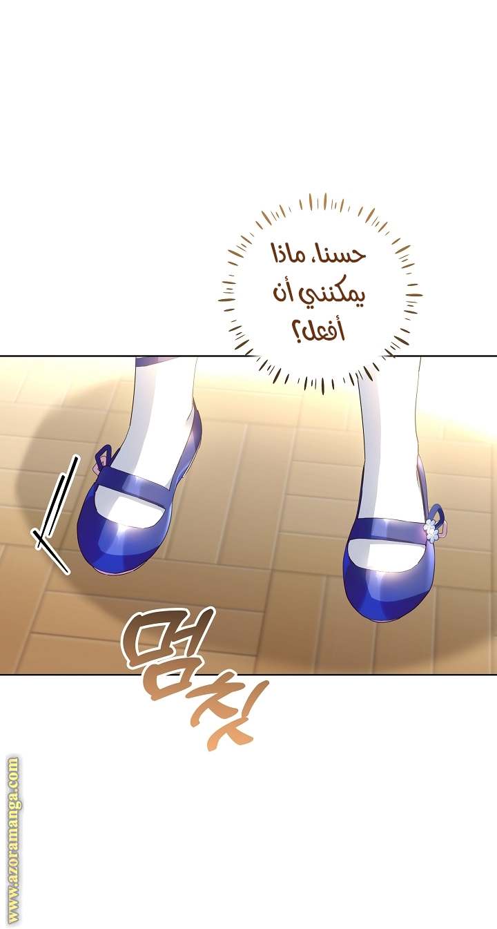 الصفحة 43