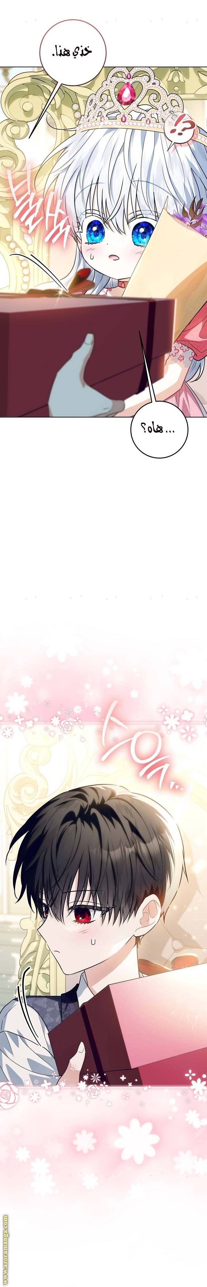 الصفحة 19