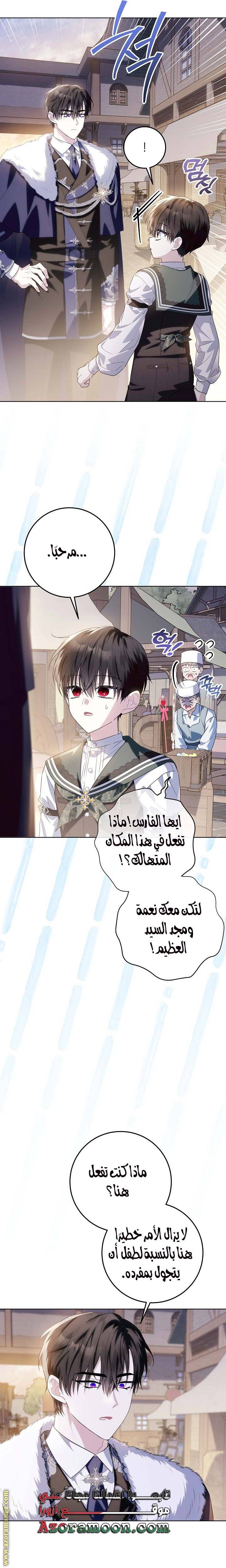 الصفحة 26