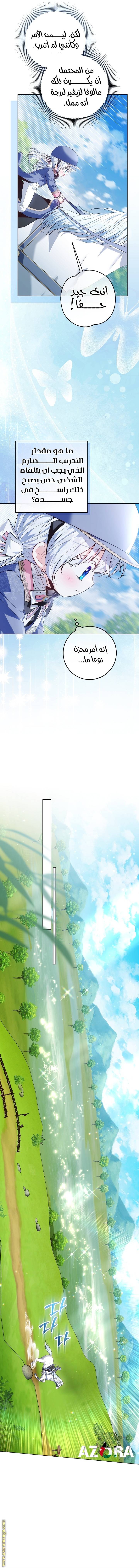 الصفحة 14