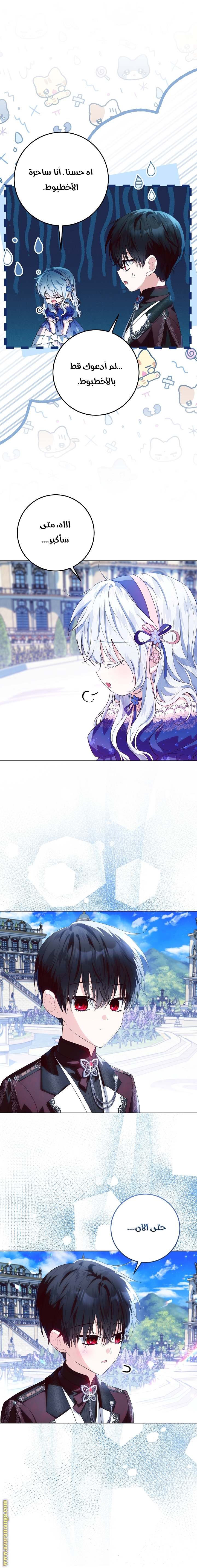 الصفحة 15